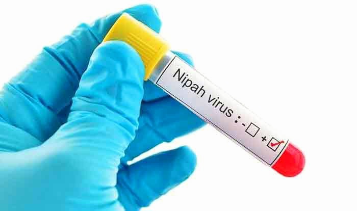 Nipah virus in Kerala : State Govt To increase Testing